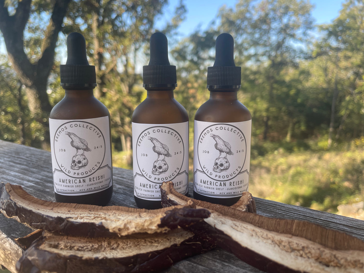 American Reishi Dual Extract - Apple Cider Vinegar & Wild Water (Alcohol Free - 2 oz. dropper bottle)