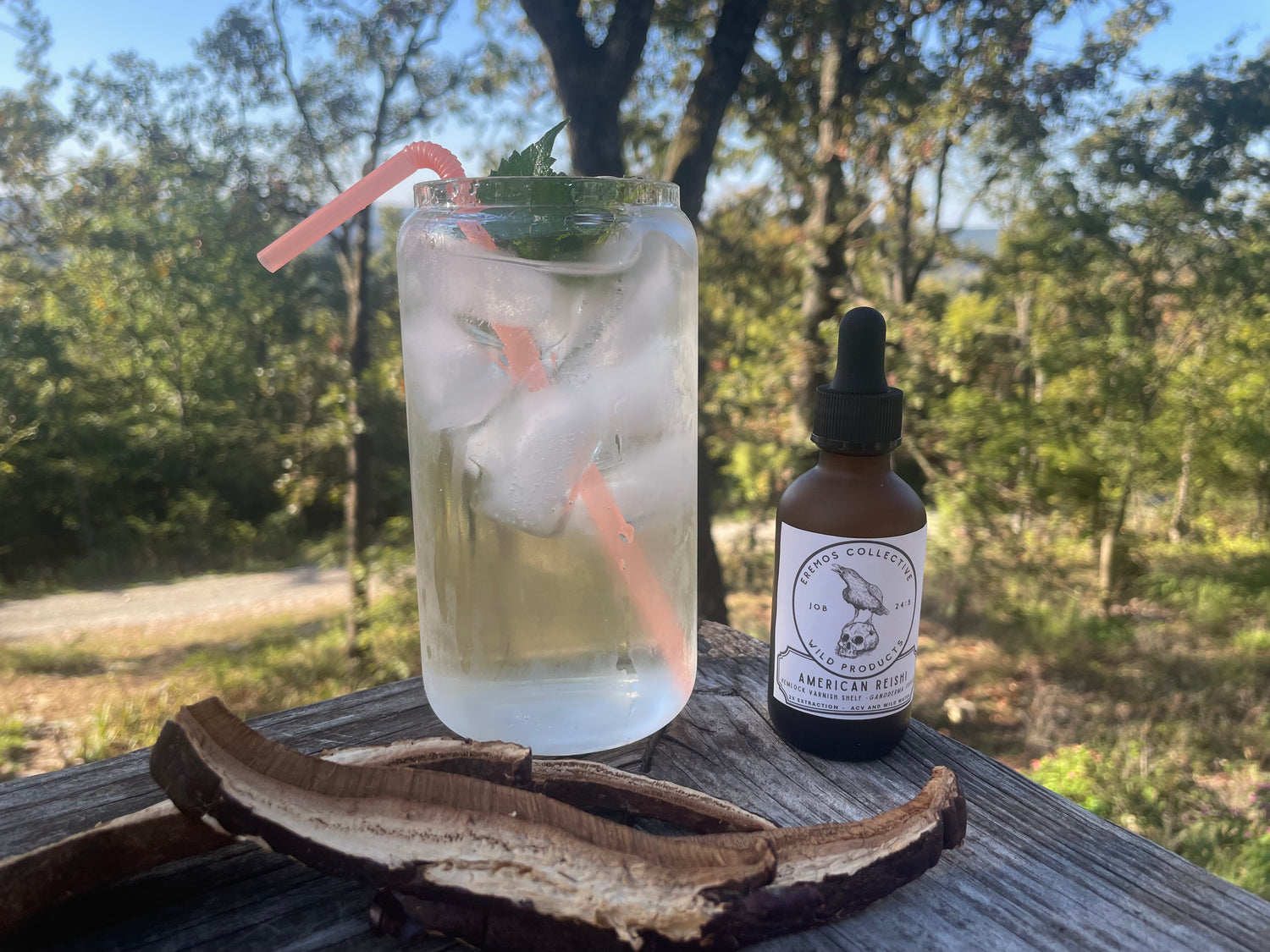 American Reishi Dual Extract - Apple Cider Vinegar & Wild Water (Alcohol Free - 2 oz. dropper bottle)