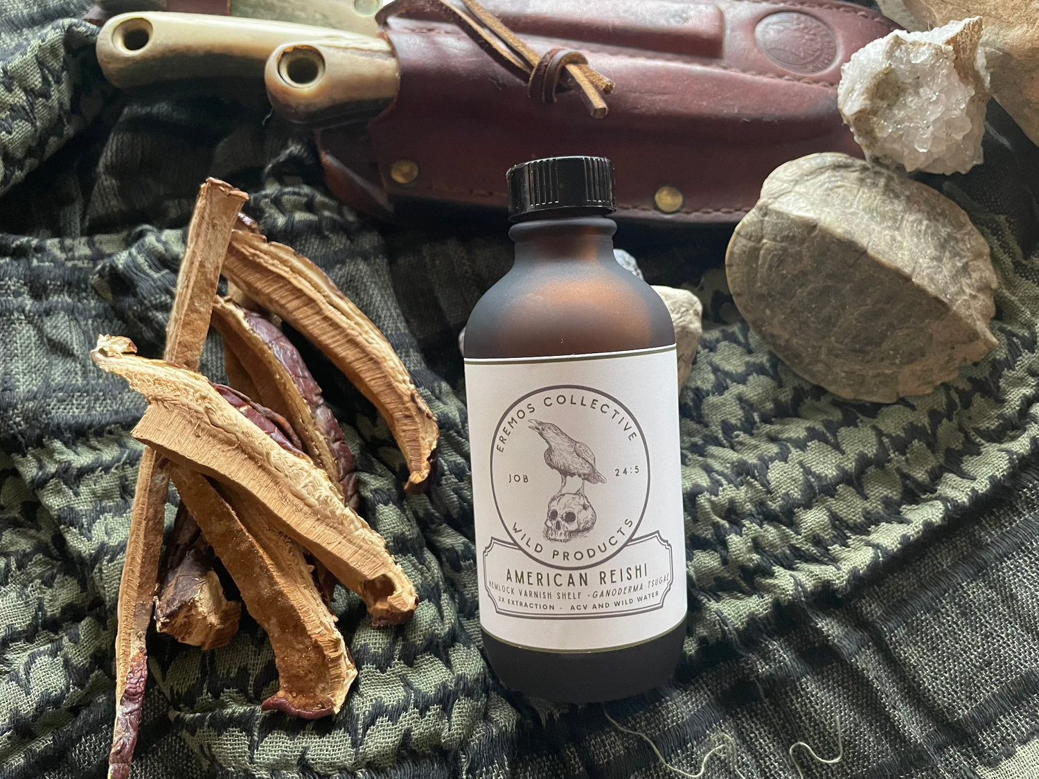 American Reishi Dual Extract - Apple Cider Vinegar & Wild Water (Alcohol Free - 4 oz.)