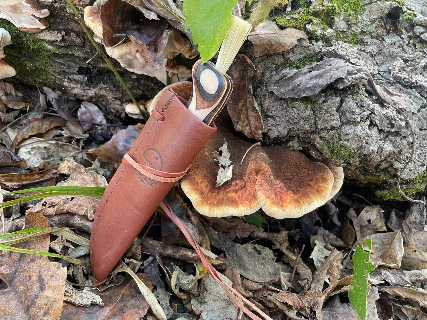 Finnish Mushroom Foraging Knife - Zebra Wood Handle with Boar Bristle Brush - Traditional Scandinavian Forager's Tool