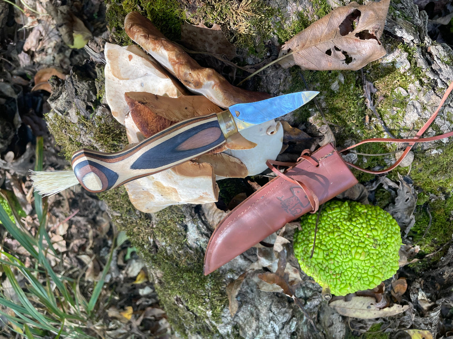 Finnish Mushroom Foraging Knife - Zebra Wood Handle with Boar Bristle Brush - Traditional Scandinavian Forager's Tool