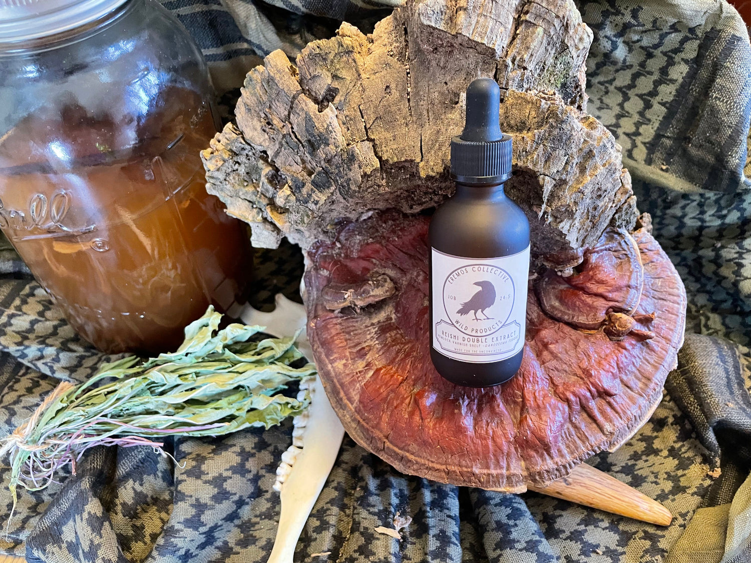 American Reishi Dual Extract - Apple Cider Vinegar & Wild Water (Alcohol Free - 2 oz. dropper bottle)