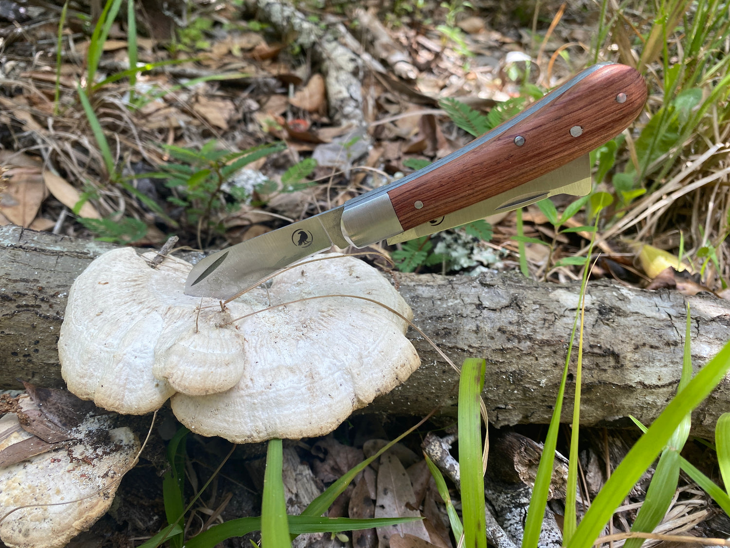 Eremos Forager's Knife