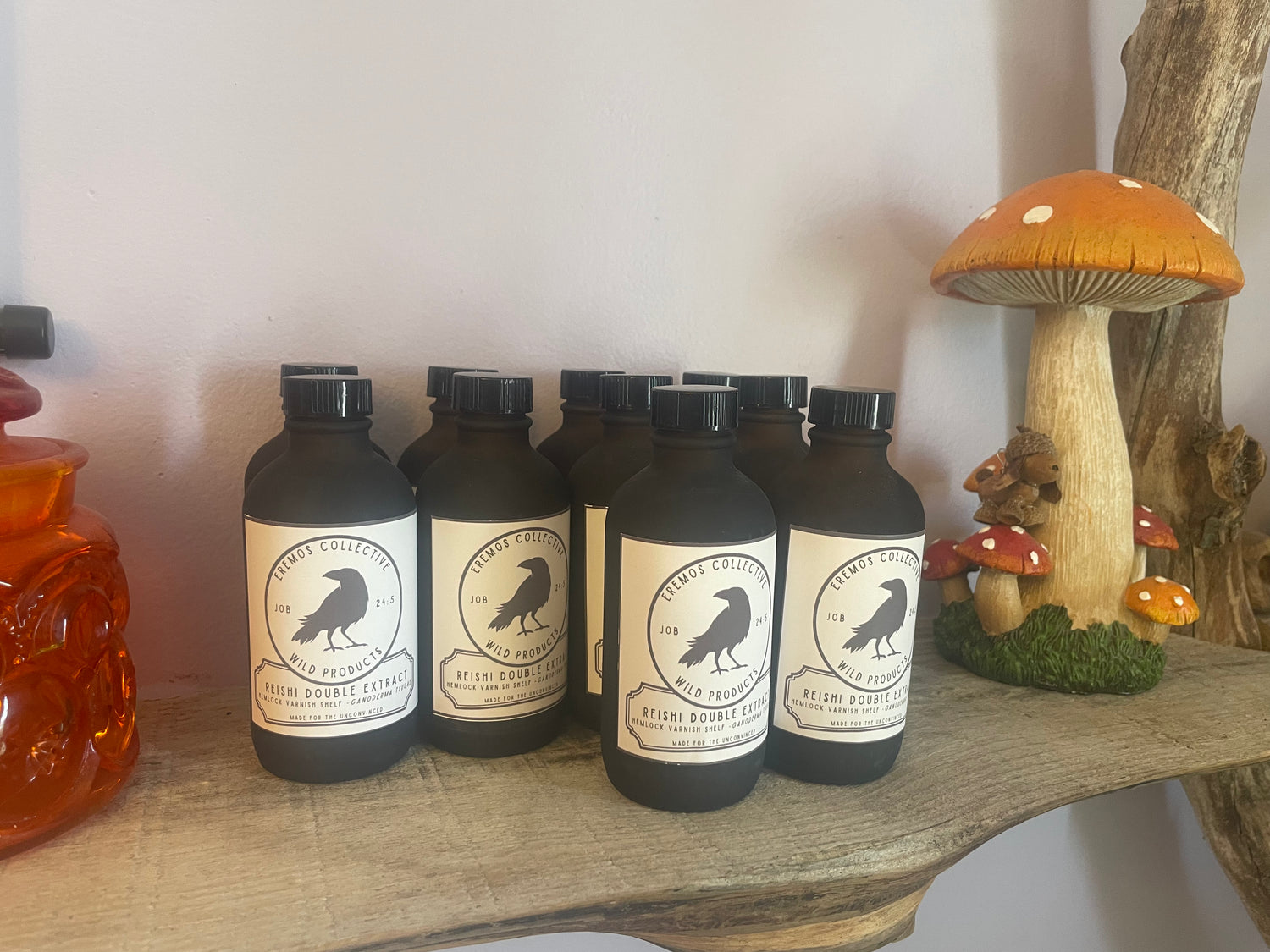 American Reishi Dual Extract - Apple Cider Vinegar & Wild Water (Alcohol Free - 4 oz.)