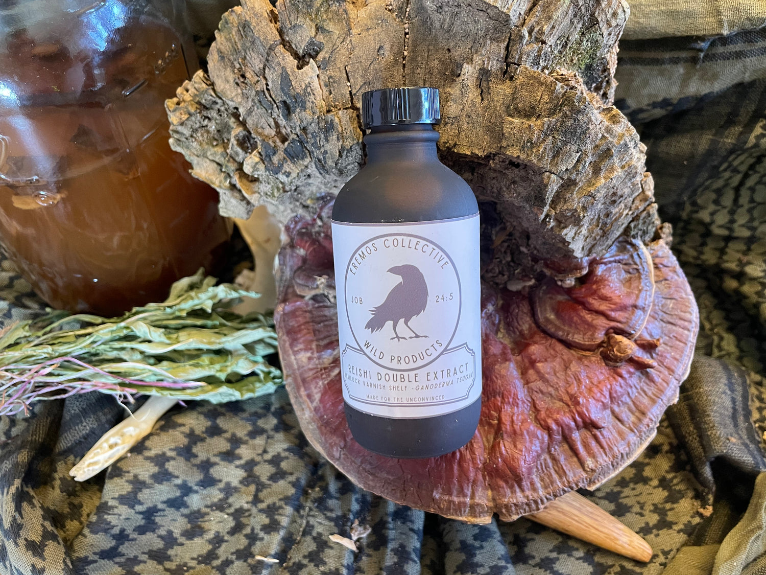 American Reishi Dual Extract - Apple Cider Vinegar & Wild Water (Alcohol Free - 4 oz.)