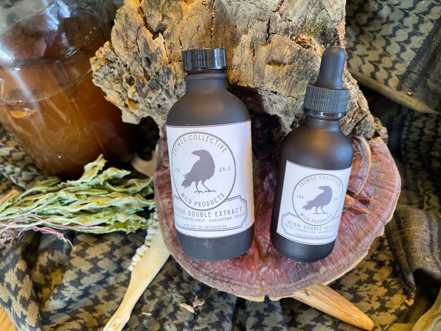 American Reishi Dual Extract - Apple Cider Vinegar & Wild Water (Alcohol Free - 4 oz.)