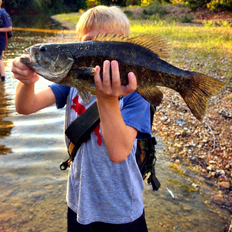 A kid holding up a smallmouth bass by the creek