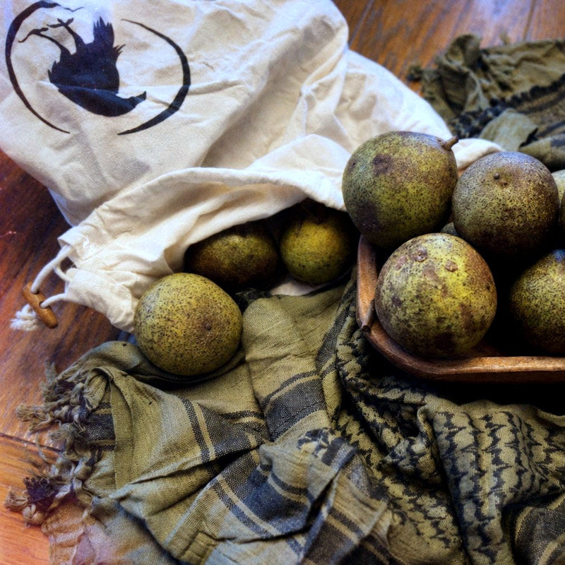 Black walnuts spilling from an Eremos bag